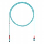 FZURLENENYNM001 Picture