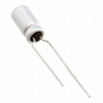 RNE1C101MDS1PX Picture