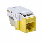 RJ45FC6-YEL Picture