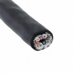 25124 BK005 Picture